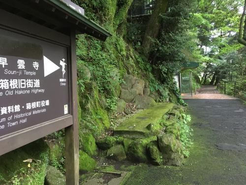  小田原・箱根湯本へ日帰り散歩・緑と川と食べ歩き