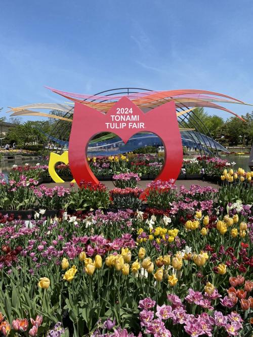 春を彩る花の祭典国内最大級「となみチューリップフェア」