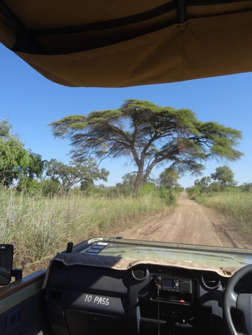 【ワンゲ国立公園】アフリカに行こう 2★第一目的地までの長い道のり