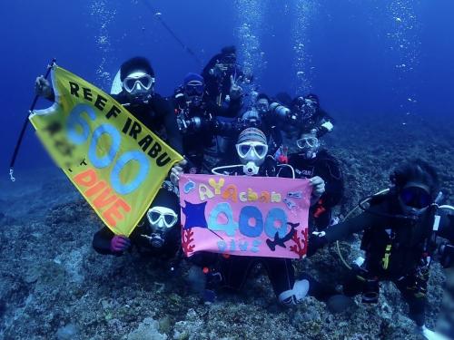 2024.GW 400dive達成と粟国やら宮古やら石垣やら