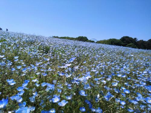 2024年5月　ゴールデンウィーク茨城の旅