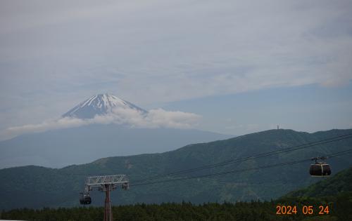 久しぶりのツアー旅行で箱根湯本、伊東方面に行ってきました。