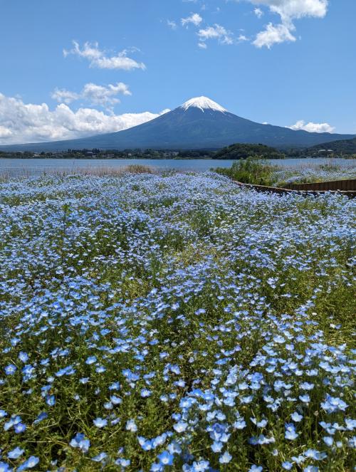 日帰りバイクの後ろに乗って富士山を見に行く