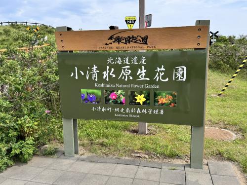北海道ドライブ旅行 ６日目　小清水原生花園、オシンコシンの滝、知床峠から根室まで