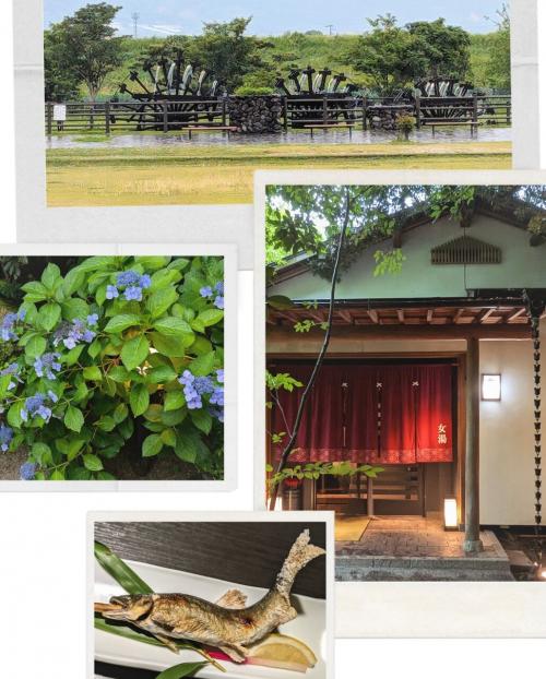 創業140年超えの老舗温泉宿！福岡 原鶴温泉 パーレンス小野屋へ再訪～梅雨もまた楽しやドライブ女子旅