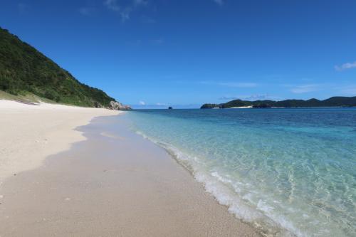 美ら海紀行・2024 慶良間諸島 5泊6日 座間味・阿嘉島