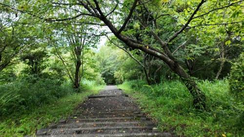 岩本山公園へ 2024.07.18