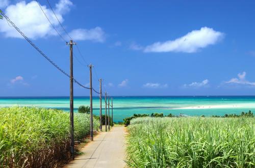 2024.7 宮古島（台風に遭遇）