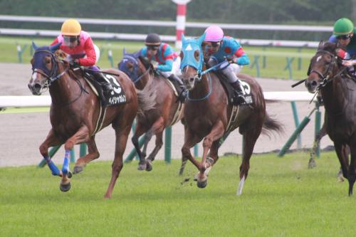 0泊2日で行く弾丸推し活旅行～真夏のターフが呼んでいるぜ福島競馬場編～