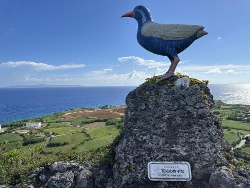 与那国島・与論島 2024年7月 ③日目