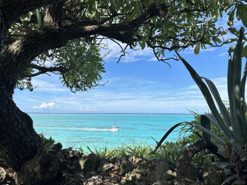 与那国島・与論島 2024年7月 ④日目