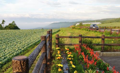 令和6年度・ビールが欠かせない、夏季ひとり合宿　その３　四阿山