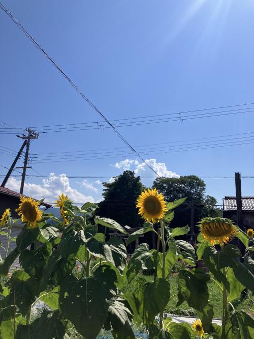大人の夏休みをしに宮津までドライブ旅
