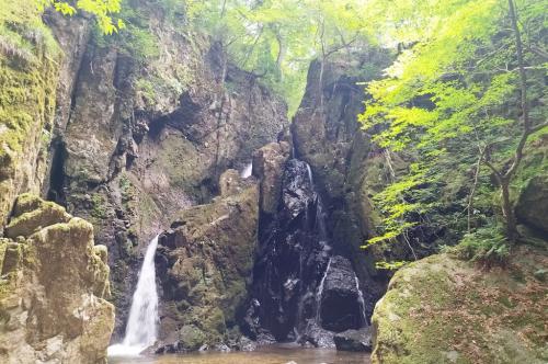 山乗渓谷で流しそうめん