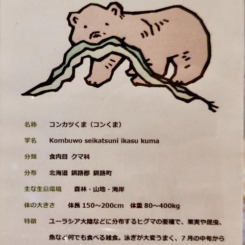 24夏旅ひがし北海道 Day1 　キミは釧路湿原でコンカツくまを見たか！