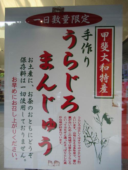 信州蔦木宿から、甲斐大和まで、2024年スタラリ山梨県分は今回でクリアする！