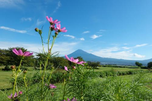 自転車でGO! 2024.08.26＝富士山見ながら富士市内をポタリング＝