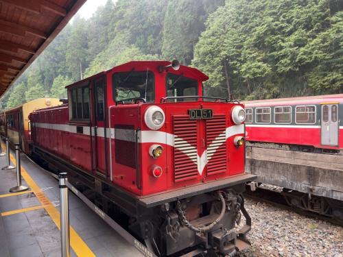 2024年9月台湾弾丸鉄道旅行4（阿里山森林鉄道）