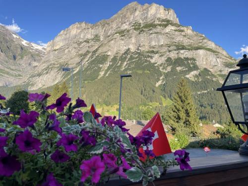 ドイツからスイスへドライブ旅行③グリンデルワルト