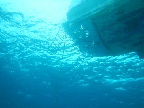 宮古島ダイビングひとり旅2024年８月