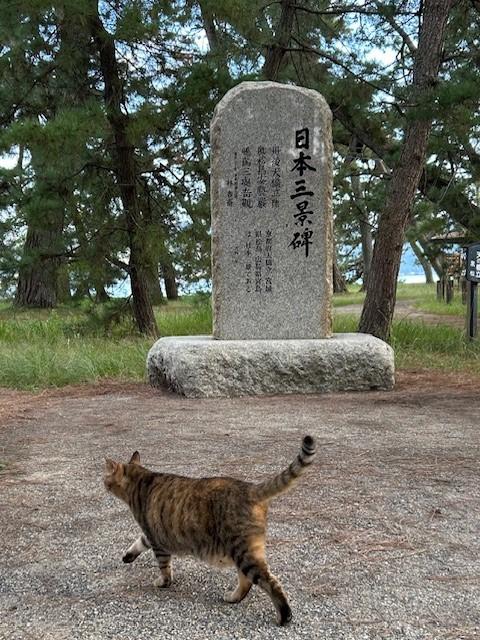 関西地方をウロウロしてきた。２日目：天橋立篇