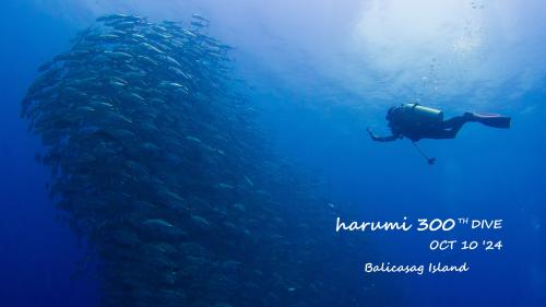 中（なか）約2ヶ月、アロナで DIVING 旅行、前編。
