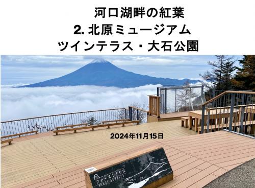河口湖畔の紅葉 富士山が見えなくても Part2. 北原ミュージアム・ツインテラス・大石公園 
