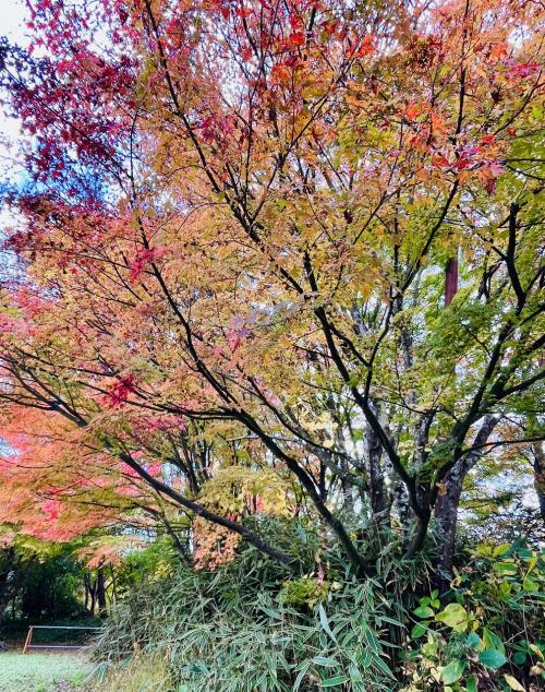 秋の河口湖へ