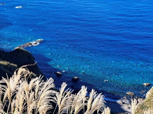 北海道９日間車で周遊の旅（2日目 函館→積丹半島→小樽編）－積丹ブルーがなまら綺麗だったよ－