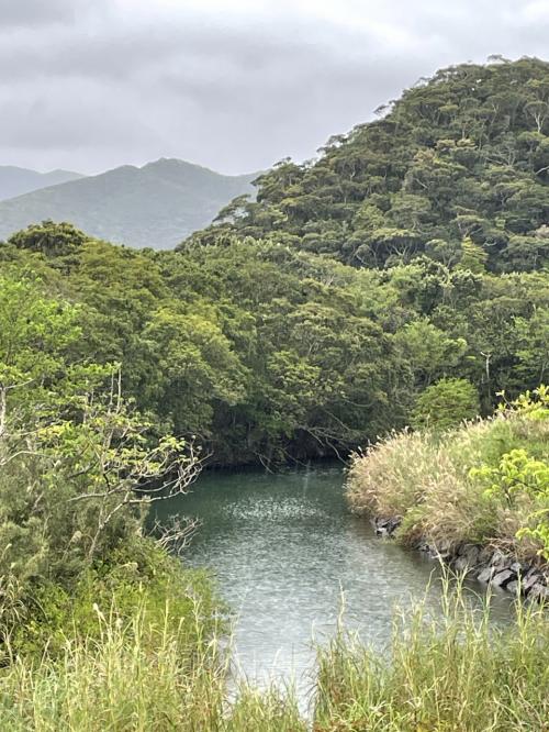 怒涛？の奄美大島　２日目