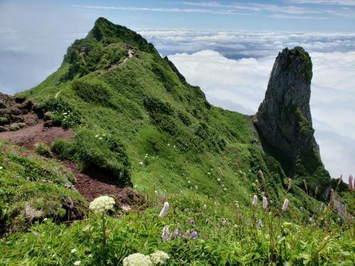 2022夏→秋　利尻島で３か月半、働きながら旅してみた　＊利尻山登山編【①-1初登頂！天空のお花畑とはこのことか!!】