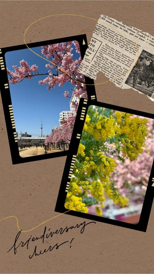 2025 3月　河津桜を愛でる旅&#127800;