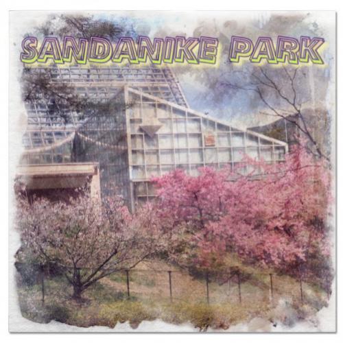 母とお散歩、河津桜が満開の三段池公園 植物園＆動物園　2025年 3月