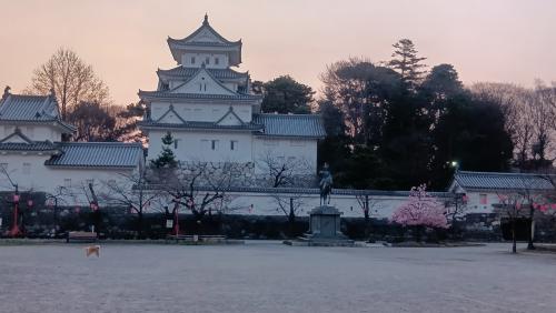 番外編　青春１８切符乗継ぎ宿泊地 大垣でお城を早朝に見る ３／２３
