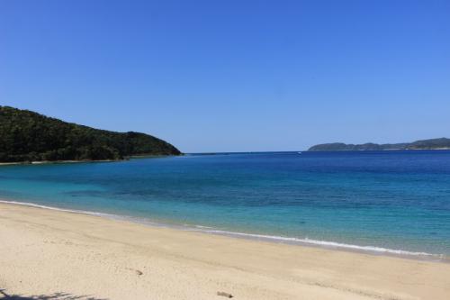 1泊2日の奄美大島の弾丸旅行