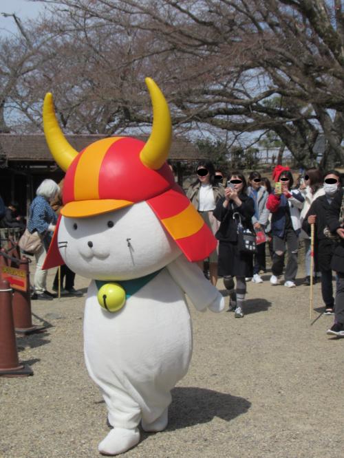 2025年3月　滋賀の旅Part-2　彦根の大スター『ひこにゃん』に会いに/彦根城編