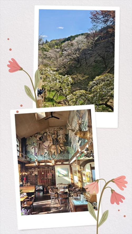 高尾ハイキングで桜図鑑になっちゃっいました
