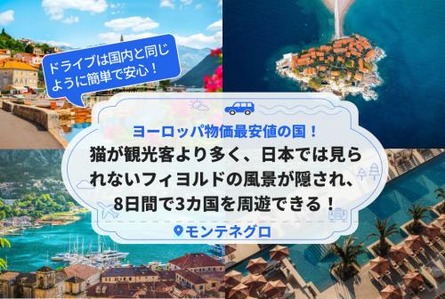 ヨーロッパ物価最安値の国！猫が観光客より多く、日本では見られないフィヨルドの風景が隠され、8日間で3カ国を周遊できる！