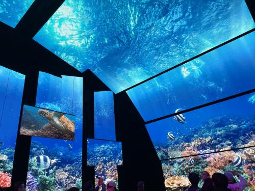 2025.5.8 大阪万博の旅