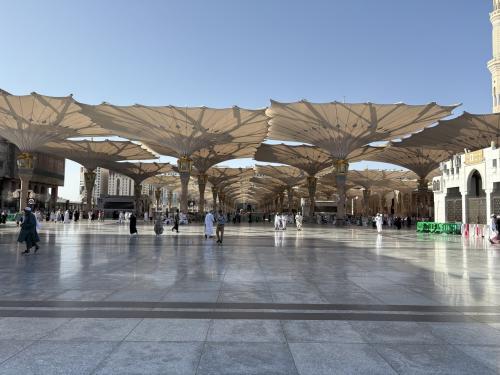 サウジアラビア(リヤド、メディナ、アルウラ)の旅行記③