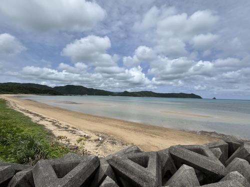 【2025】未訪の地訪問シリーズ　奄美群島旅行記【1日目/前編】