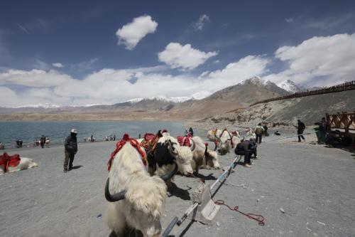 中国一人旅　上海・新疆ウイグル自治区カシュガル・広州の旅　④