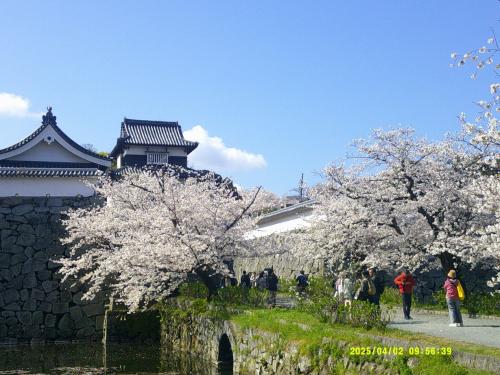 2025・＜続＞春旅（パート１・まずは福岡の春を満喫）