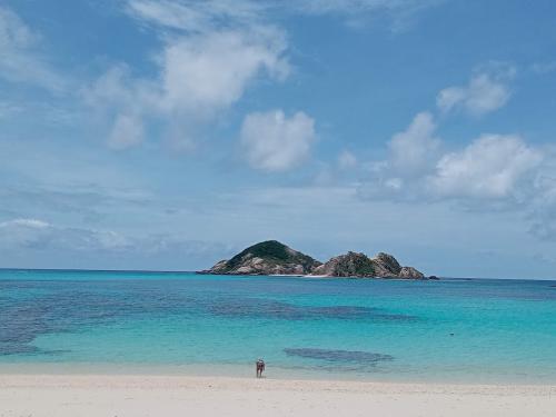 ケラマブルーの渡嘉敷島2025.5月