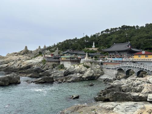 2025年6月釜山旅③(思ったよりよかった龍宮寺。帰国します)