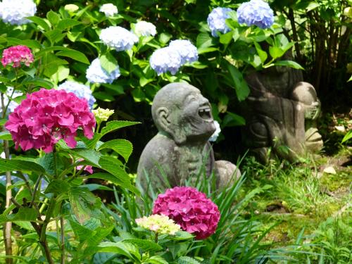 羅漢と紫陽花（柿生の羅漢寺淨慶寺　2025）