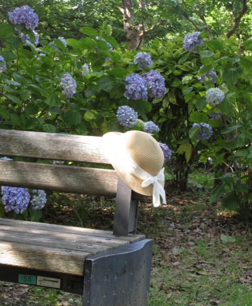 【大阪城公園】桜の名所に アジサイを求める旅