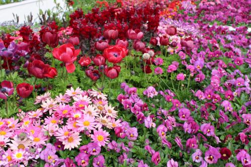 桜咲く安芸の宮島♪後編【安芸グランドホテル・宮島ロープウェー・獅子岩展望台・広島駅・太閤うどん】