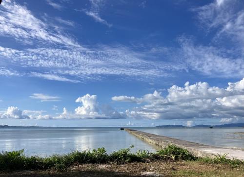 大好きな黒島の伊古桟橋で南風吹かれ、ビックリの出会い編