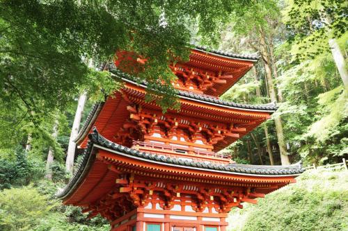 紫陽花が見納めの岩船寺～般若寺へ
